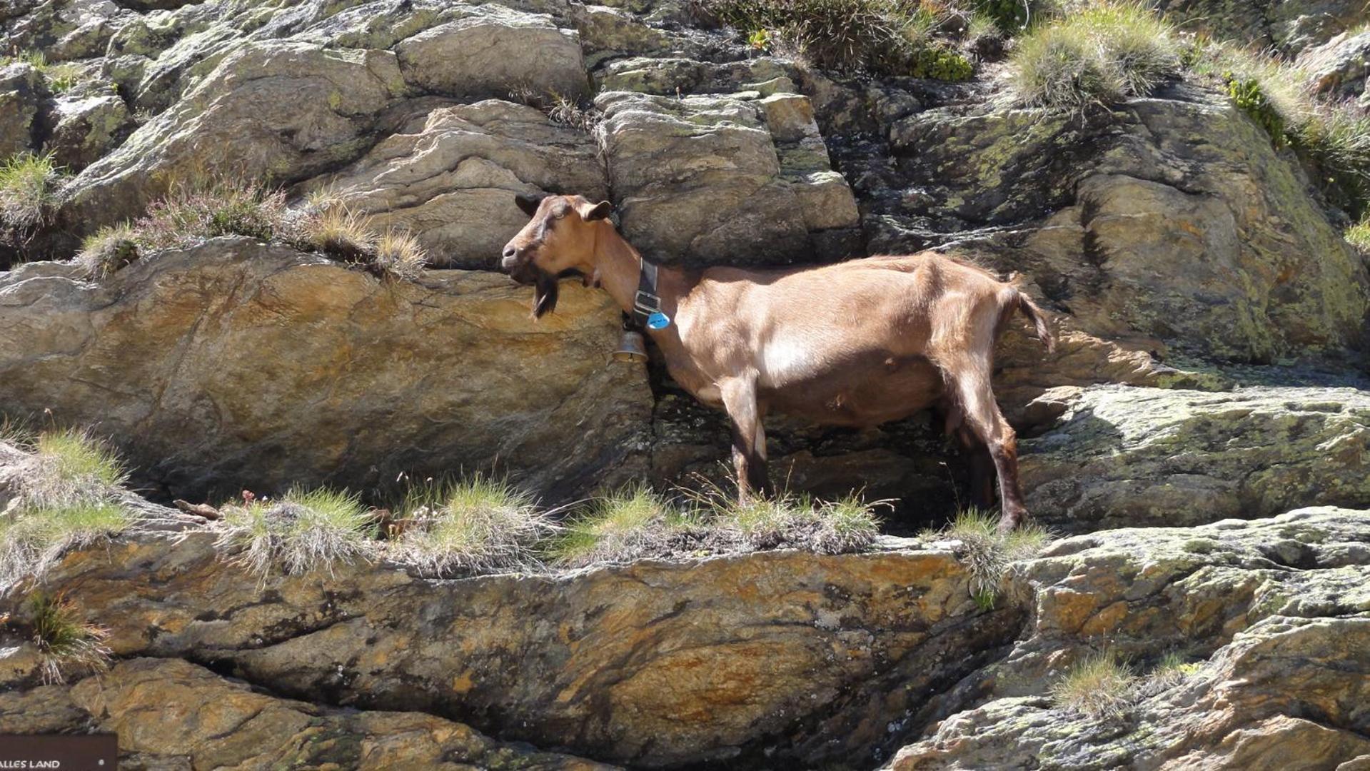 Haus Holiday Saas-Fee Zewnętrze zdjęcie