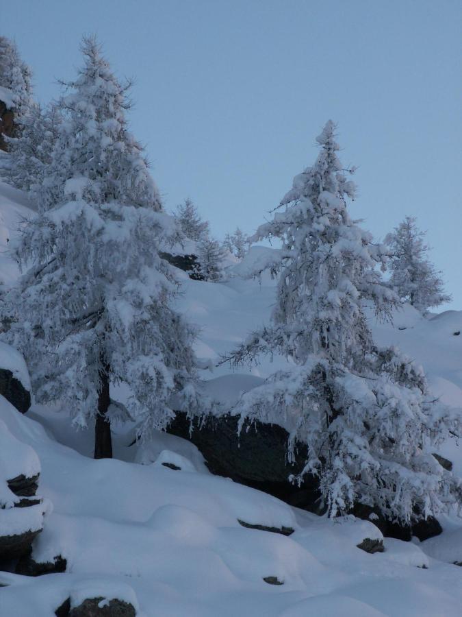 Haus Holiday Saas-Fee Zewnętrze zdjęcie